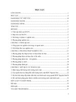 Dự báo, đánh giá hiện trạng và đề xuất biện pháp giảm thiểu ô nhiễm nước mặt khu dân cư nguyên sơn, xã bình hưng, huyện bình chánh, TP  HCM 