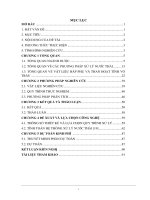 thiết kế hệ thống xử lý nước thải dược phẩm ứng dụng than hoạt tính từ vỏ trấu 
