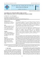 TÁC ĐỘNG CỦA TRUYỀN MIỆNG TRỰC TUYẾN ĐẾN Ý ĐỊNH MUA HÀNG CỦA NGƯỜI DÙNG MẠNG XÃ HỘI