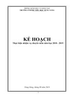 Kế hoạch chỉ đạo chuyên môn trường TIểu học Nùng Nàng, Tam Đường, Lai Châu