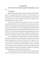 Từ nguyên tắc thống nhất giữa lý luận và thực tiễn bình luận “mọi lý thuyết chỉ là màu xám, chỉ có cây đời là mãi mãi xanh tươi”