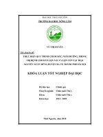 Thực hiện quy trình chăm sóc, nuôi dưỡng, phòng trị bệnh cho đàn lợn nái và đàn lợn con tại trại nguyễn xuân dũng huyện ba vì, thành phố hà nội 