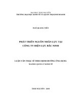 Phát triển nguồn nhân lực tại công ty điện lực bắc ninh 