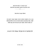 Luận văn thạc sỹ - Tổ chức thực hiện Đề án phát triển cây cam theo hướng sản xuất hàng hóa giai đoạn 2016 - 2020 trên địa bàn huyện Qùy Hợp, tỉnh Nghệ An