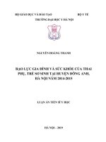 Bạo lực gia đình và sức khỏe của thai phụ, trẻ sơ sinh tại huyện Đông Anh, Hà Nội năm 2014 2015 (Luận án tiến sĩ)
