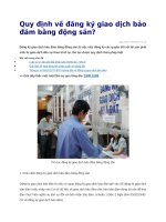 Quy định về đăng ký giao dịch bảo đảm bằng động sản