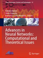 Advances in neural networks computational and theoretical issues 