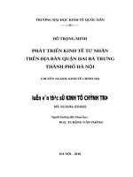 Luận văn thạc sỹ - Phát triển kinh tế tư nhân trên địa bàn quận Hai Bà Trưng TP. Hà Nội