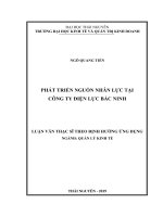 Phát triển nguồn nhân lực tại Công ty điện lực Bắc Ninh (Luận văn thạc sĩ)