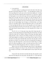 Hoạt động logistics trong dịch vụ kho tại công ty TNHH một thành viên ICD tân cảng   sóng thần 