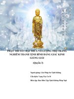 PHẬT THUYẾT ĐẠI THỪA VÔ LƯỢNG THỌ TRANG NGHIÊM THANH TỊNH BÌNH ĐẲNG GIÁC KINH GIẢNG GIẢI (Quyển 3)