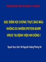 ĐẶC ĐIỂM HỘI CHỨNG THỰC BÀO MÁU KHÔNG DO NHIỄM EPSTEIN-BARR VIRUS TẠI BỆNH VIỆN NHI ĐỒNG I