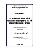 Các mô hình phân tích vai trò của công nghiệp và dịch vụ đối với hiệu quả sản xuất nông nghiệp ở Việt Nam (Luận án tiến sĩ)