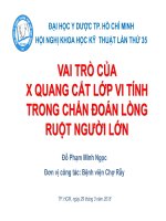 VAI TRÒ CỦA X QUANG CẮT LỚP VI TÍNH TRONG CHẨN ĐOÁN LỒNG RUỘT NGƯỜI LỚN