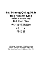 Đại Phương Quảng Phật Hoa Nghiêm Kinh Phẩm thứ mười một Tịnh Hạnh Phẩm