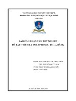 BÁO CÁO LUẬN VĂN TỐT NGHIỆP ĐỀ TÀI: TRÍCH LY POLYPHENOL TỪ LÁ BÀNG