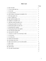 (SKKN) Phát hiện những sai lầm thường gặp của học sinh lớp 6 khi giải các bài toán số học và các biện pháp khắc phục