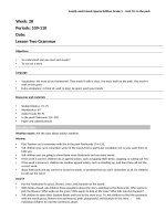 Family and Friends Special Edition Grade 5 Selective LessonPlan Week 28 Periods 109 110 Unit10 Lesson Two Grammar