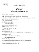 Giáo án Tiếng Việt 3 tuần 31 bài: Tập đọc  Bài hát trồng cây