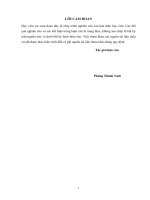 đề xuất mô hình tổ chức tại ban quản lý dự án ngành nông nghiệp và phát triển nông thôn – sở nông nghiệp và ptnt tỉnh nghệ an 