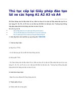 Thủ tục cấp lại giấy phép đào tạo lái xe các hạng a1 a2 a3 và a4