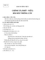 Giáo án Tiếng Việt 3 tuần 31 bài: Chính tả  Nhớ  viết: Bài hát trồng cây. Phân biệt r, d, gi; dấu hỏi, dấu ngã