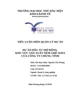 DỰ ÁN ĐẦU TƯ MỞ RỘNG  KHU VỰC SẢN XUẤT NỆM GHẾ SOFA  CỦA CÔNG TY CHUNG TÌNH