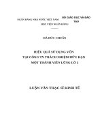 Luận văn thạc sỹ - Hiệu quả sử dụng vốn tại Công ty trách nhiệm hữu hạn một thành viên Lũng Lô 3