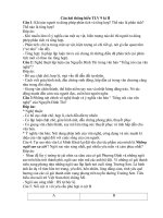 Câu hỏi thông hiểu TLV 9 kì II 