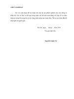 quản lý rủi ro trong thực hiện dự án “đầu tư tiếp nước, cải tạo, khôi phục sông tích 