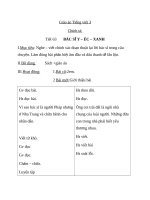 Giáo án Tiếng Việt 3 tuần 31 bài: Chính tả  Nghe  viết: Bác sĩ Yécxanh, phân biệt r, d, gi; dấu hỏi, dấu ngã