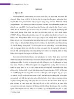 Ảnh hưởng của việc bổ sung Curcumin trong thức ăn đến khả năng sinh trưởng và đáp ứng miễn dịch ở gà thịt thương phẩm