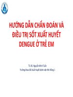 HƯỚNG DẪN CHẨN ĐOÁN VÀ ĐIỀU TRỊ SỐT XUẤT HUYẾT DENGUE Ở TRẺ EM