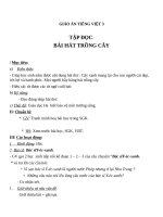 Giáo án Tiếng Việt 3 tuần 31 bài: Tập đọc  Bài hát trồng cây