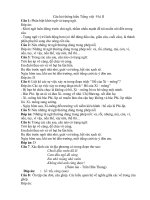 Câu hỏi thông hiểu tiếng việt  9 kì II 