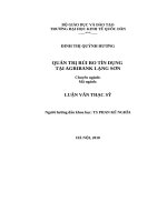Luận văn thạc sỹ - Quản  trị rủi ro tín dụng tại Agribank Lạng Sơn