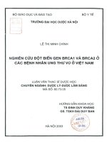 Nghiên cứu đột biến gen BRCA 1 và BRCA 2 ở bệnh nhân ung thư vú ở việt nam 