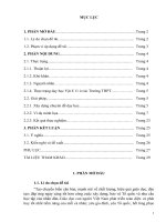 SKKN VẬT LÝ XÂY DỰNG CHUYÊN ĐỀ THẤU KÍNH MỎNG VẬT LÝ 11 ÁP DỤNG VÀO DẠY HỌC CHUYÊN ĐỀ THEO HƯỚNG PHÁT TRIỂN NĂNG LỰC HỌC SINH