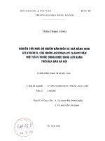 Nghiên cứu mức độ nhiễm nấm mốc và khả năng sinh aflatoxin b1 của nhóm aspergillus flavus trên một số vị thuốc đông dược trên địa bàn hà nội 