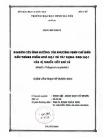 Nghiên cứu ảnh hưởng của phương pháp chế biến đến thành phần hóa học và tác dụng sinh học của vị thuốc cốt khí củ radixpolygonicuspidati 