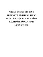 NHỮNG ĐƯỜNG lối ĐỊNH HƯỚNG và TÌNH HÌNH THỰC HIỆN của VIỆT NAM về CHÍNH SÁCH đảm bảo AN NINH LƯƠNG THỰC 