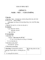 Giáo án Tiếng Việt 3 tuần 13 bài: Chính tả  Nghe  viết: Vàm Cỏ Đông, phân biệt it, uyt; d, gi, r; dấu hỏi, dấu ngã
