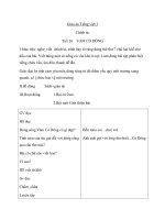 Giáo án Tiếng Việt 3 tuần 13 bài: Chính tả  Nghe  viết: Vàm Cỏ Đông, phân biệt it, uyt; d, gi, r; dấu hỏi, dấu ngã