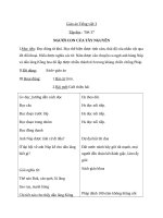 Giáo án Tiếng Việt 3 tuần 13 bài: Tập đọc  Người con của Tây Nguyên