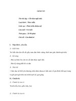 giáo án cát dán ngôi nhà