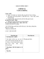 Giáo án Tiếng Việt 3 tuần 13 bài: Chính tả  Nghe  viết: Vàm Cỏ Đông, phân biệt it, uyt; d, gi, r; dấu hỏi, dấu ngã