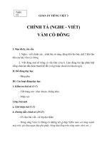 Giáo án Tiếng Việt 3 tuần 13 bài: Chính tả  Nghe  viết: Vàm Cỏ Đông, phân biệt it, uyt; d, gi, r; dấu hỏi, dấu ngã