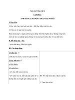 Giáo án Tiếng Việt 4 tuần 21 bài: Tập đọc  Anh hùng Lao động Trần Đại Nghĩa