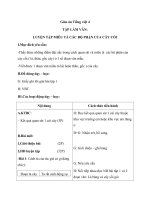 Giáo án Tiếng Việt 4 tuần 22 bài: Tập làm văn  Luyện tập miêu tả các bộ phận của cây cối