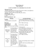Giáo án Tiếng Việt 4 tuần 22 bài: Tập làm văn  Luyện tập miêu tả các bộ phận của cây cối